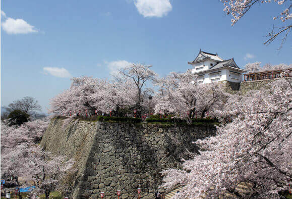 津山城（鶴山公園）
